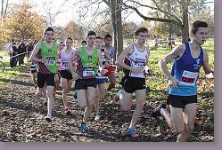 Begles 15.12.13 01 560 * 679 x 453 * (204KB)